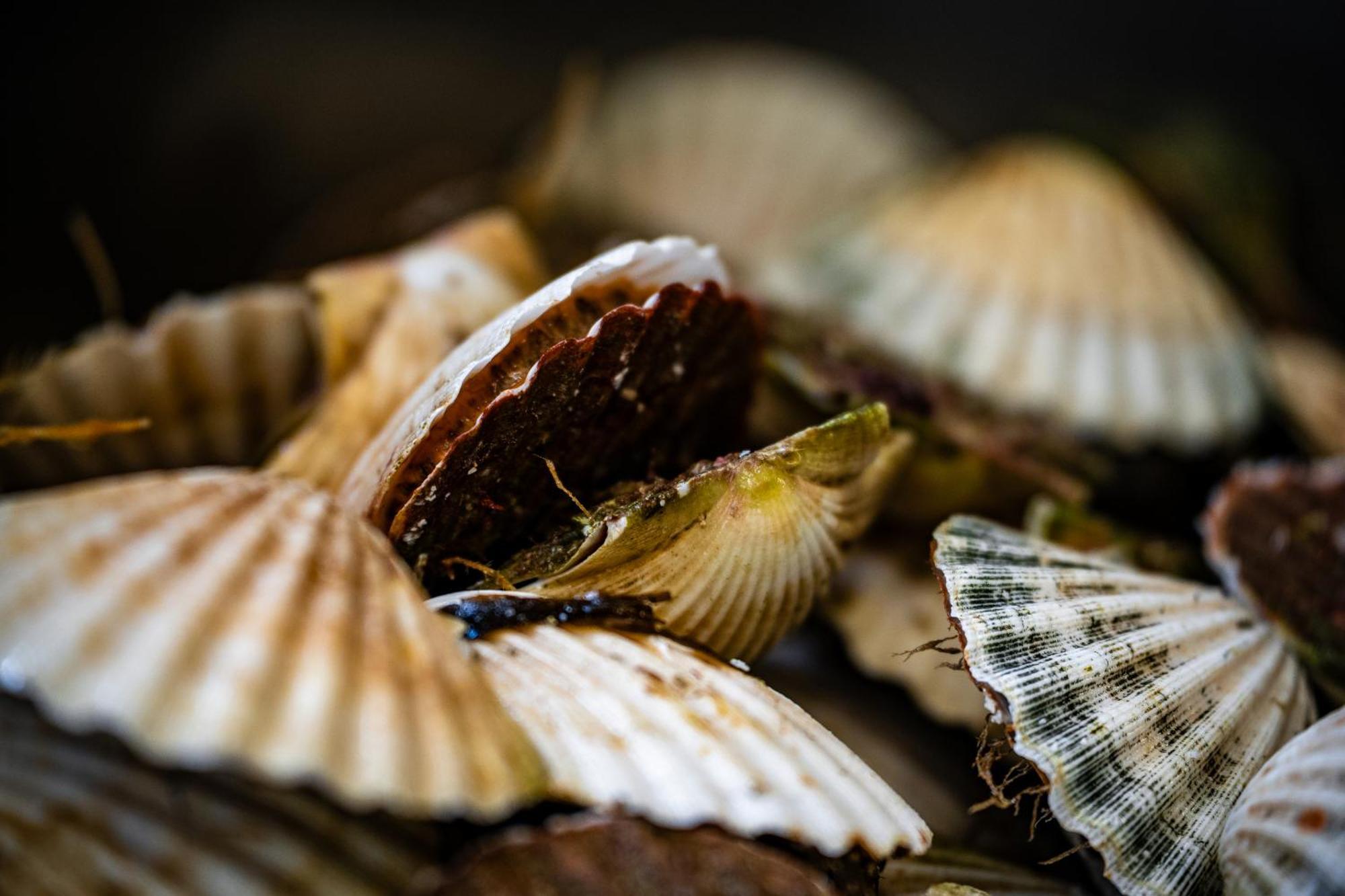Murray Arms Hotel And Seafood Restaurant, Orkney Saint Margarets Hope المظهر الخارجي الصورة